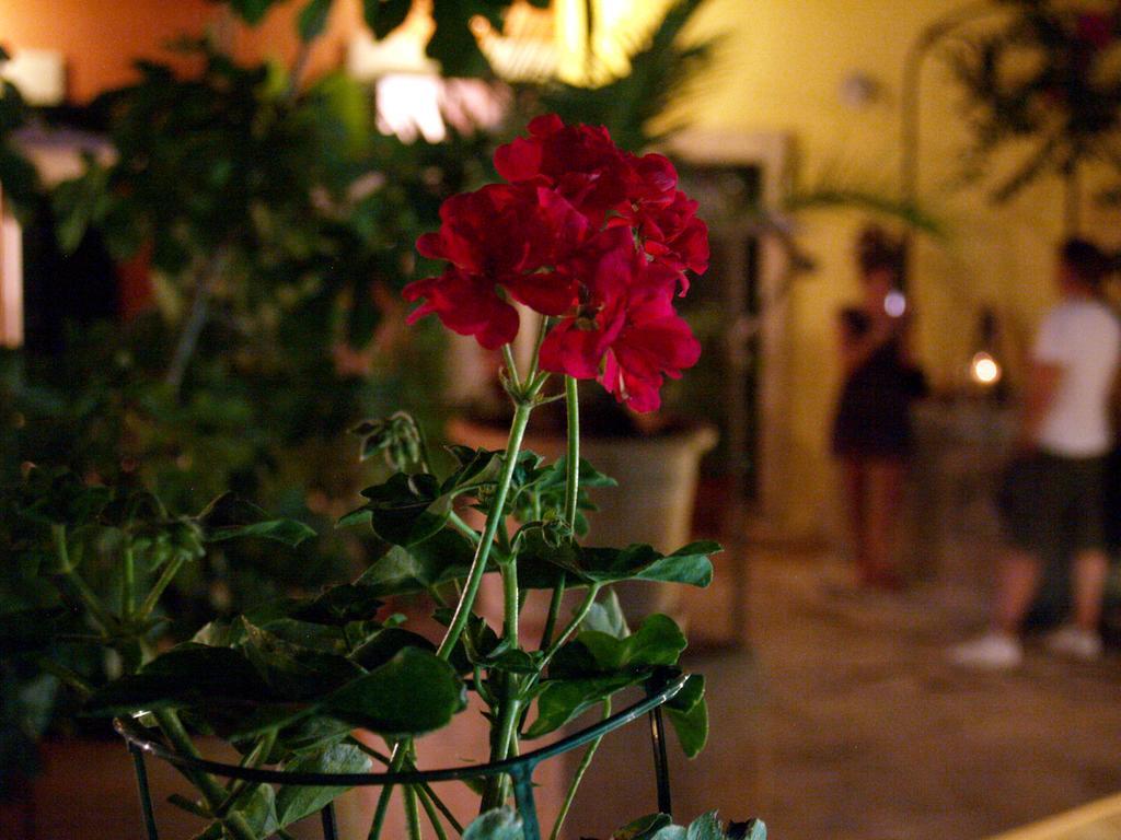 Petit Hotel Alaró Buitenkant foto